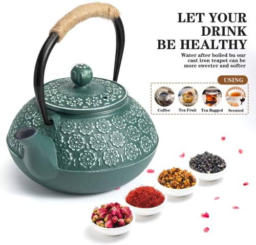 Cast Iron Tea Pot with Infusers for Loose Tea