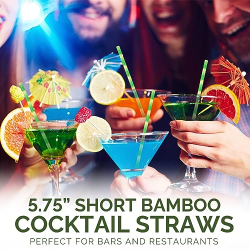 5.75 inch Short Bamboo Paper Straws & Stirrers for Cocktail and Coffee (500 Count)