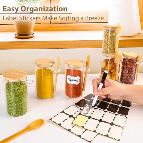 12 Pack 10 oz Round Glass Spice Jars with Lids and Spoons (12 Count)