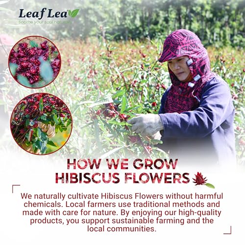 80 Hibiscus Tea Bags (80 Count)