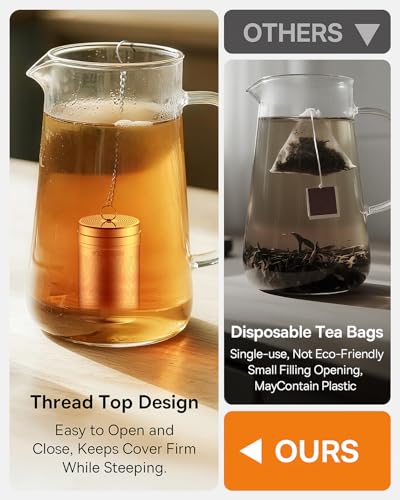2 Pack Tea Strainers for Loose Tea (2 Count)