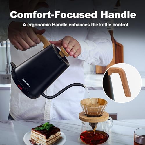 Electric Gooseneck Kettle with Thermometer