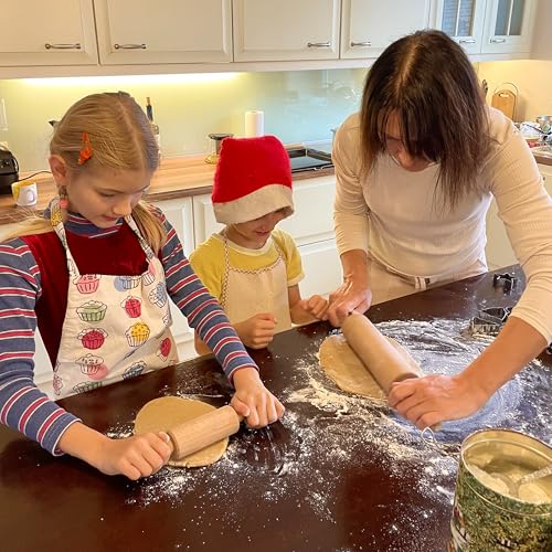 DINOSAURS EMBOSSING ROLLING PIN ENGRAVED with DINOSAURS for EMBOSSED COOKIES JURASSIC ANIMALS TYRANNOSAURUS REX