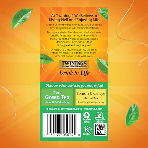 Green Tea with Jasmine (120 Count)