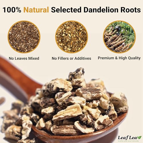 Dandelion Root Tea Bags (120 Count)