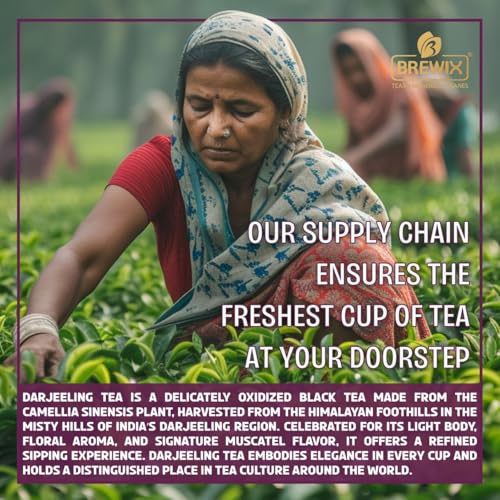 Darjeeling Tea Leaves from Hills of Himalayas (3.53 Ounce)