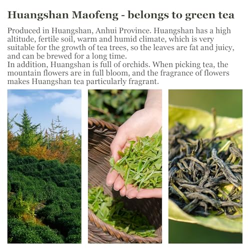 Jasmine Green Tea