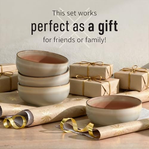 Stoneware Ceramic Cereal Bowls Set of 4 (4 Count)