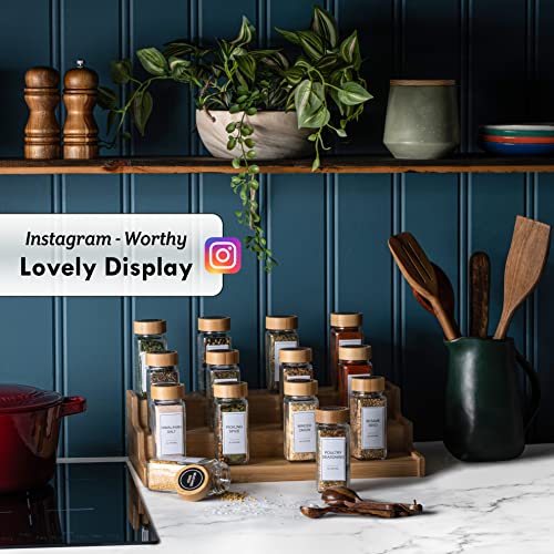 24 Piece Spice Jars Set by Le'raze