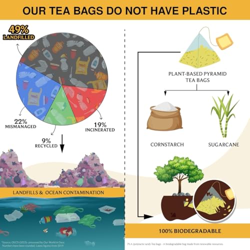 Turmeric Ginger Herbal Tea Bags (50 Count)