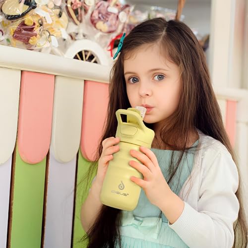 Insulated Water Bottle 12oz
