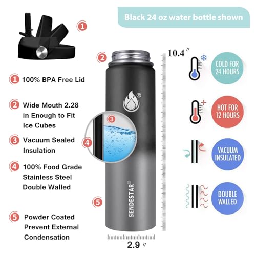 Insulated Water Bottle 24 oz with Straw