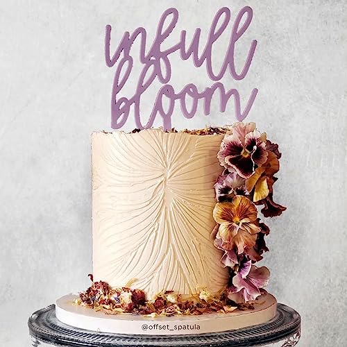 Large Cake Decorating Stencil