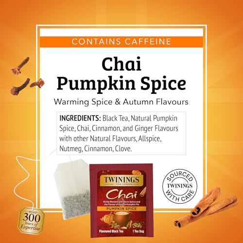 Pumpkin Spice Chai Black Spicy Tea Bags (120 Count)