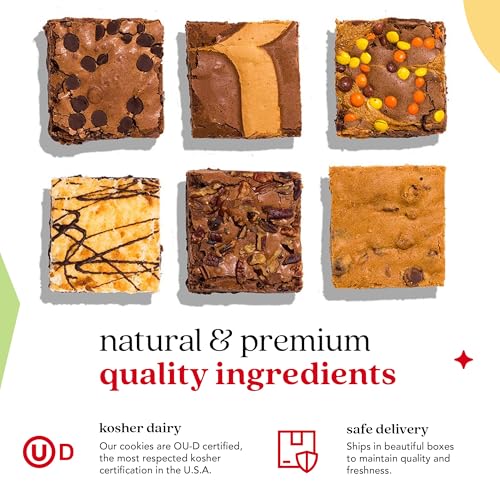David’s Cookies Assorted Brownies Tin Gift Basket (48 Ounce)