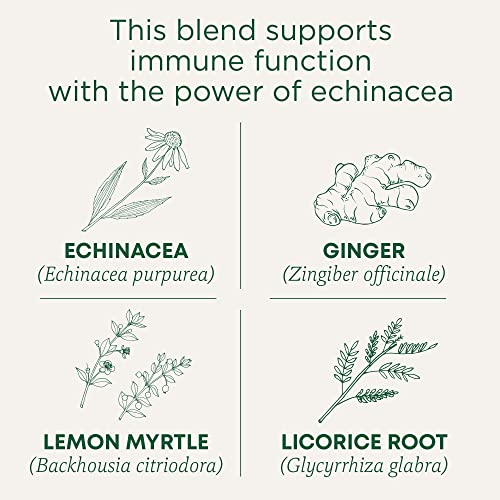 Tea Organic Immune Zoom Lemon Ginger (144 Count)