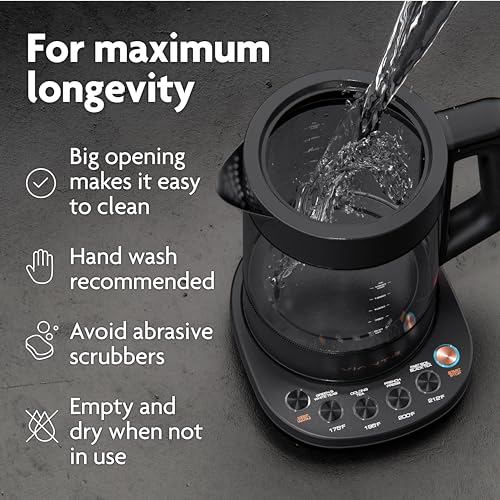 Viante Alba Electric Tea Kettle With Infuser