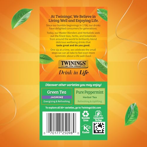 Green Tea with Mint Individually Wrapped Bags (120 Count)
