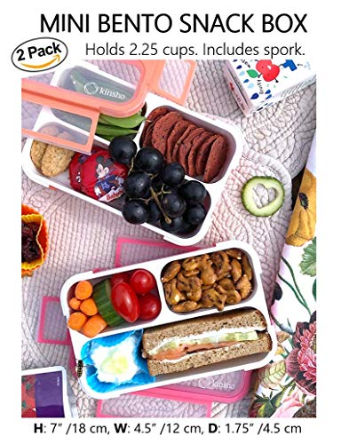 Small Snack Box Container for Kids Toddlers (2 Count)