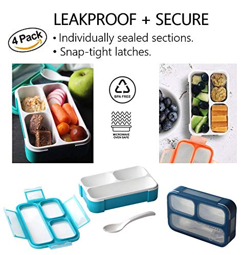Small Snack Box Containers Set of 4 (4 Count)