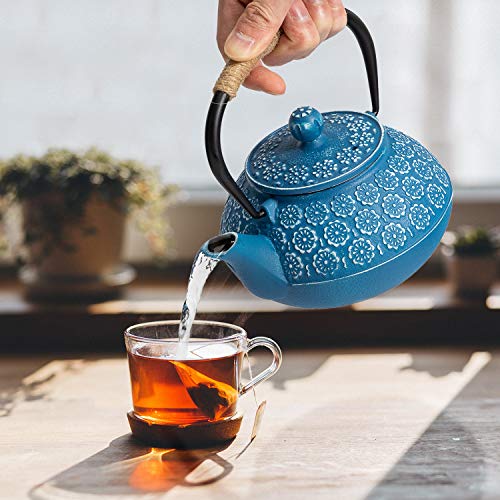 Cast Iron Tea Pot with Infusers for Loose Tea