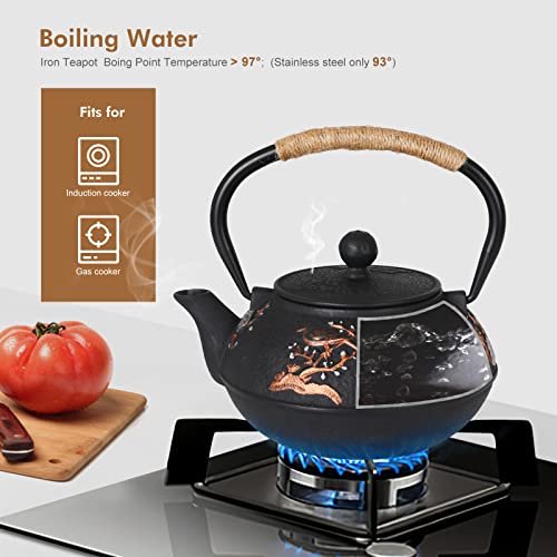 Japanese Style Cast Iron Teapot with Infuser Trivet Tetsubin Kettle