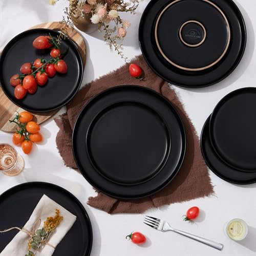4 Piece Stoneware Small Dinner Plates Set
