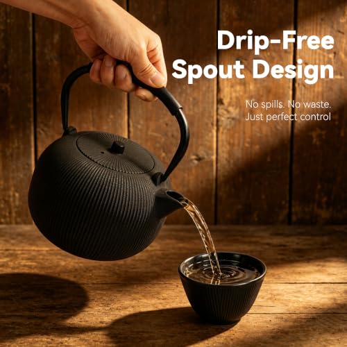 Cast Iron Teapot Set with 2 Cups