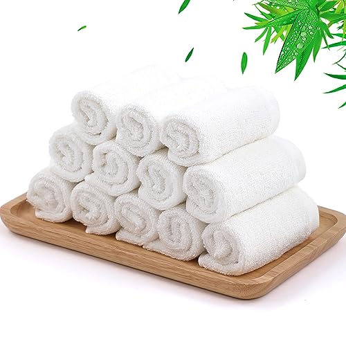 Dish Washcloths 12 Pack (12 Count)