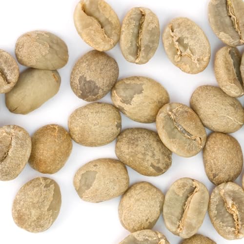Unroasted Organic Fair Trade Mexican Chiapas (80 Ounce)