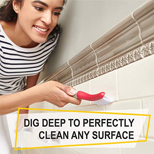 Scrub Brush Set of 6 pcs (6 Count)