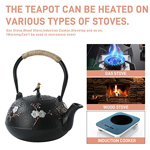 Cast Iron Teapot SECHUDO Teapot for Stovetop Safe Coated with Enameled Interior
