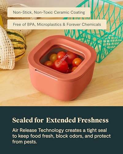 6 Piece Food Storage Container Set (6 Count)