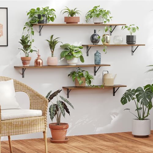 Long Wall Shelves