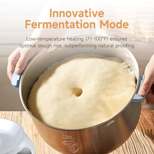 Electric Dough Maker with Ferment Function