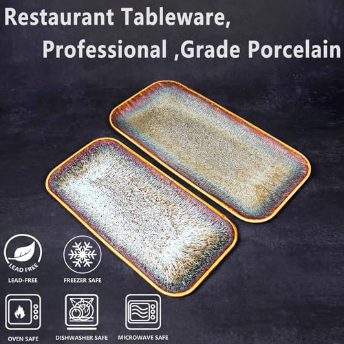 Porcelain Dinner Plates Platters Set of 2 (2 Count)