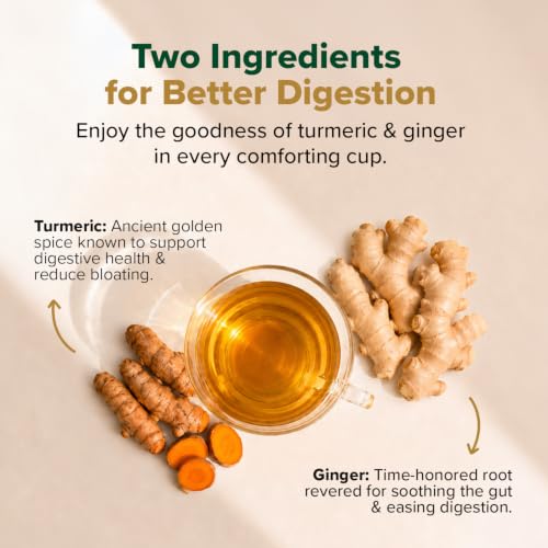 Organic Turmeric Ginger Herbal Tea Bags (100 Count)