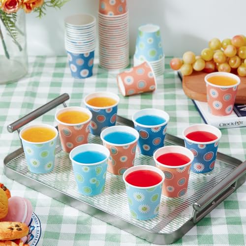300 Pack 3 oz Paper Cups (300 Count)