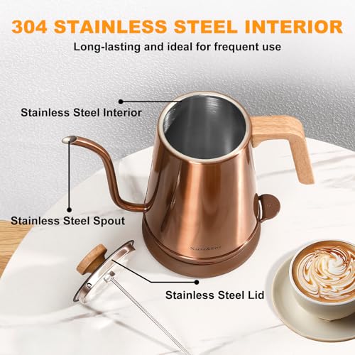 Electric Gooseneck Kettle with Thermometer