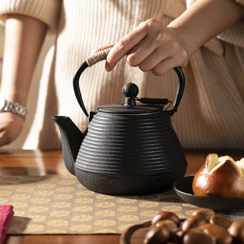 Cast Iron Teapot