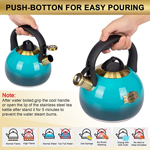 Tea Kettle Stovetop Whistling Kettle Teapot