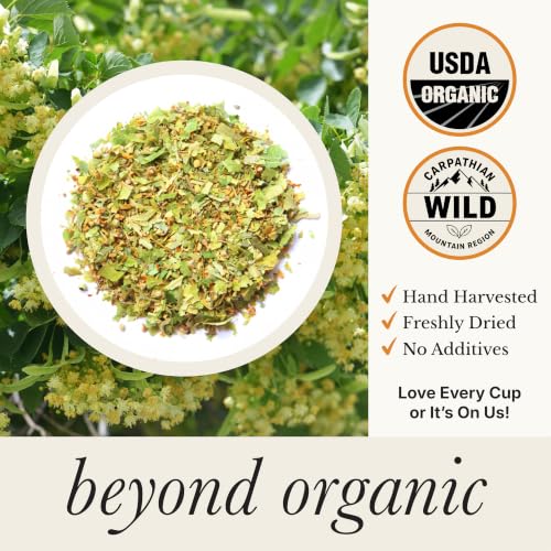 Organic Linden Flower Tea (125 Count)