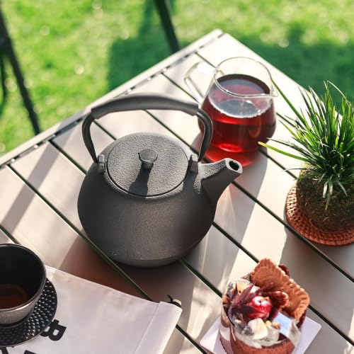 Cast Iron Teapot