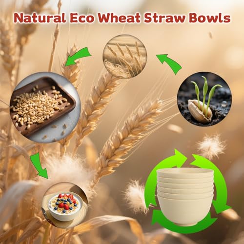 6 piece Wheat Straw Bowls Set 26oz