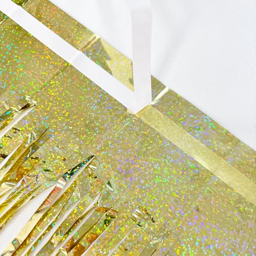 Tinsel Fringe Backdrop Gold Party Decorations 2 Pack (2 Count)