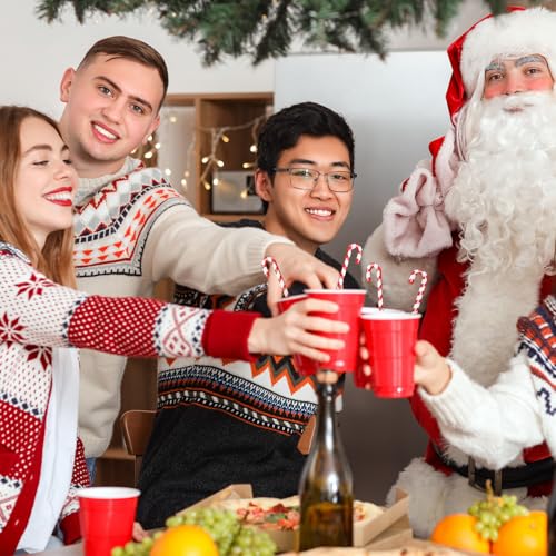 30 Pcs Christmas Drink Stirrers Candy Cane Stir Sticks (30 Count)