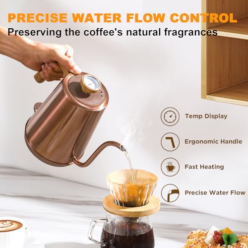 Electric Gooseneck Kettle with Thermometer