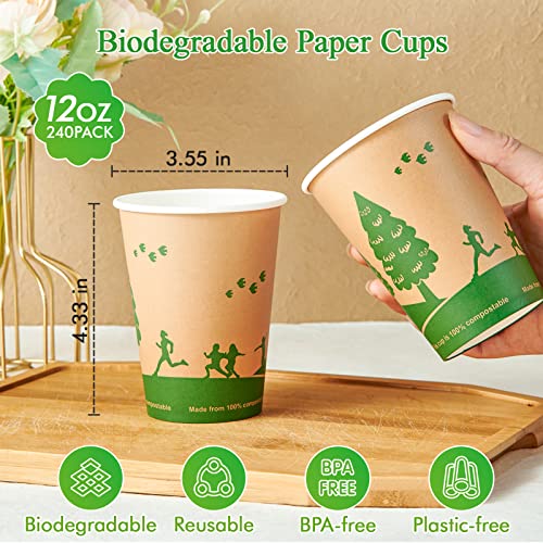 12 oz Compostable Paper Coffee Cups with PLA Lined (240 Count)