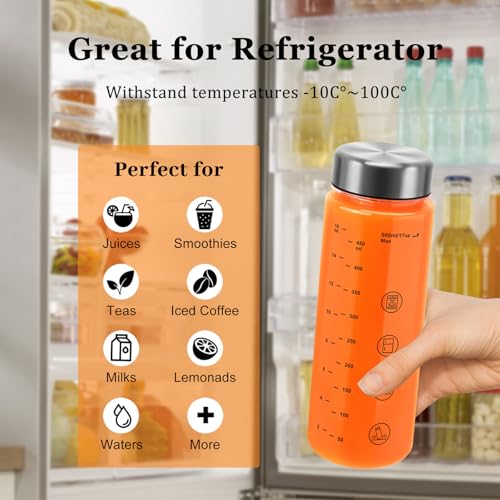 2 Pack Plastic Juice Bottles with Caps (2 Count)