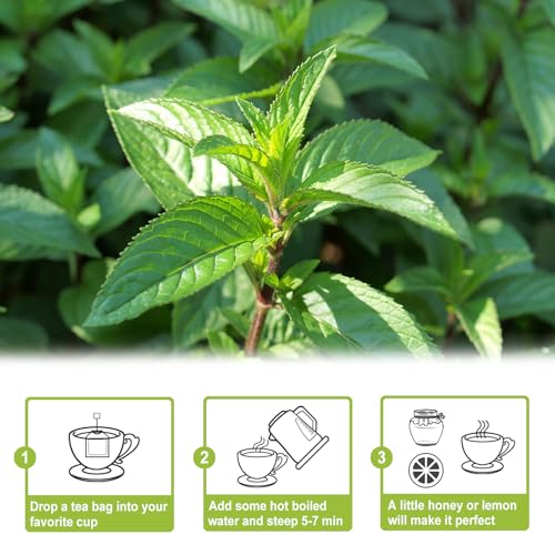 Peppermint Tea Bags (80 Count)